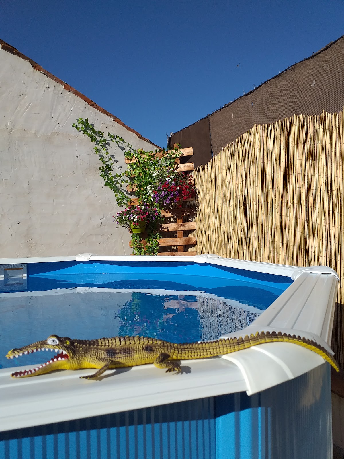 La Chisquereta - Casa Rural