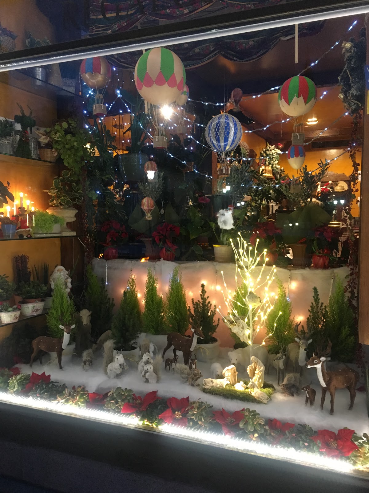 El Caloco Flores y Plantas