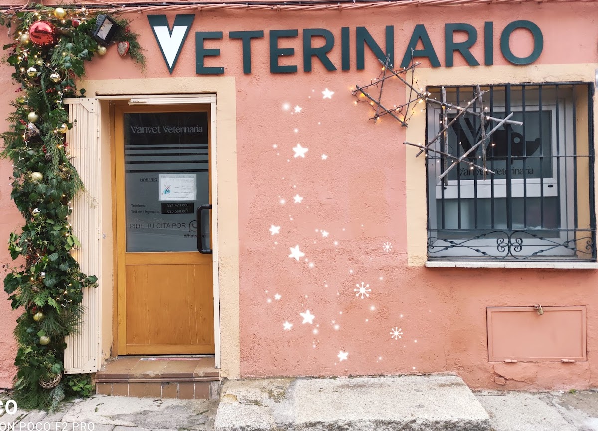 VANVET VETERINARIA