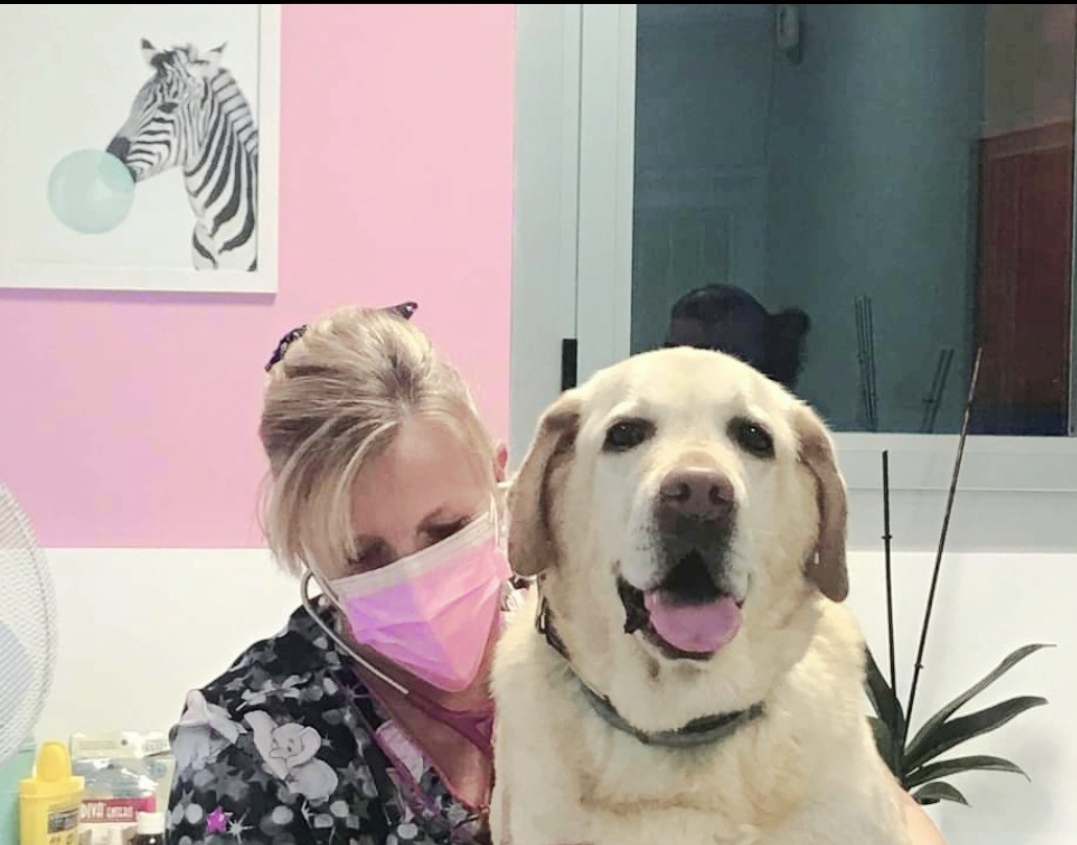 Centro Clínico Veterinario UNO + de la familia