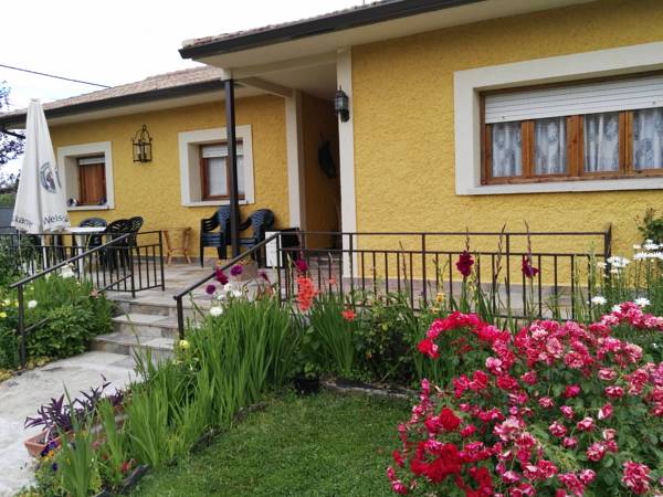 Chalet Riaza con jardin