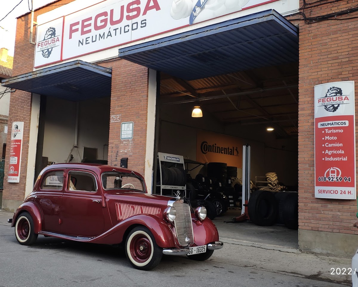 NEUMATICOS FEGUSA