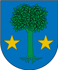 Escudo de Allín/allin