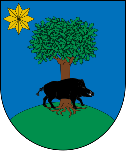 Escudo de 
<span>Doneztebe/santesteban</span>
