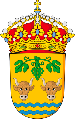 Escudo de 
<span>Punxín</span>
