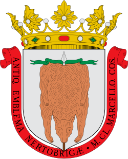 Escudo de 
<span>Ricla</span>
