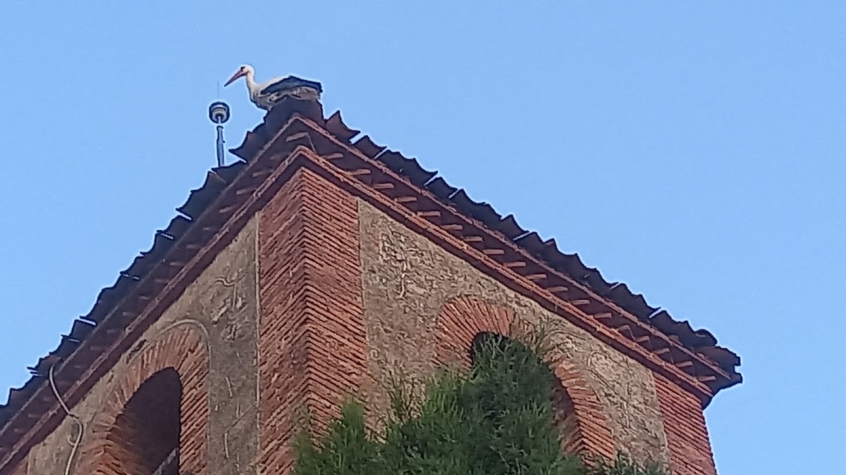 IGLESIA DE "NUESTRA SEÑORA DEL ROSARIO"