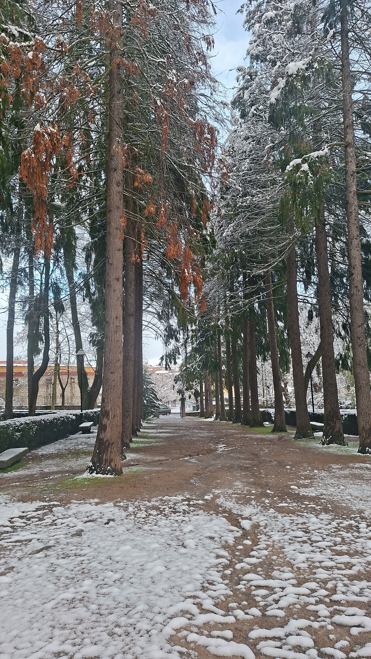 Parque de Don Cipriano Geromini