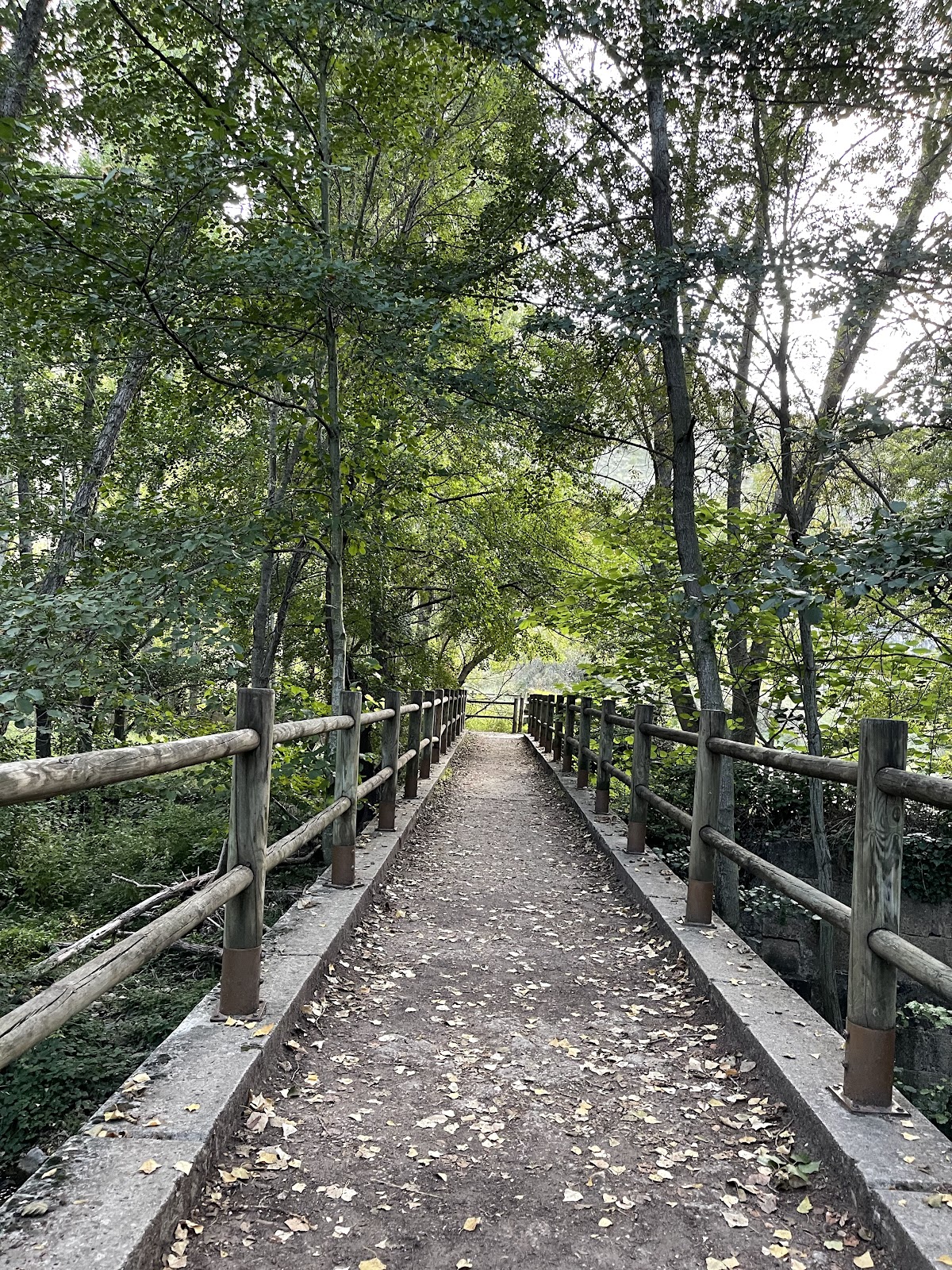 Puente de Talcano