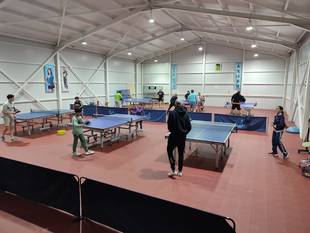 C.D. Seghos - Tenis de Mesa Segovia