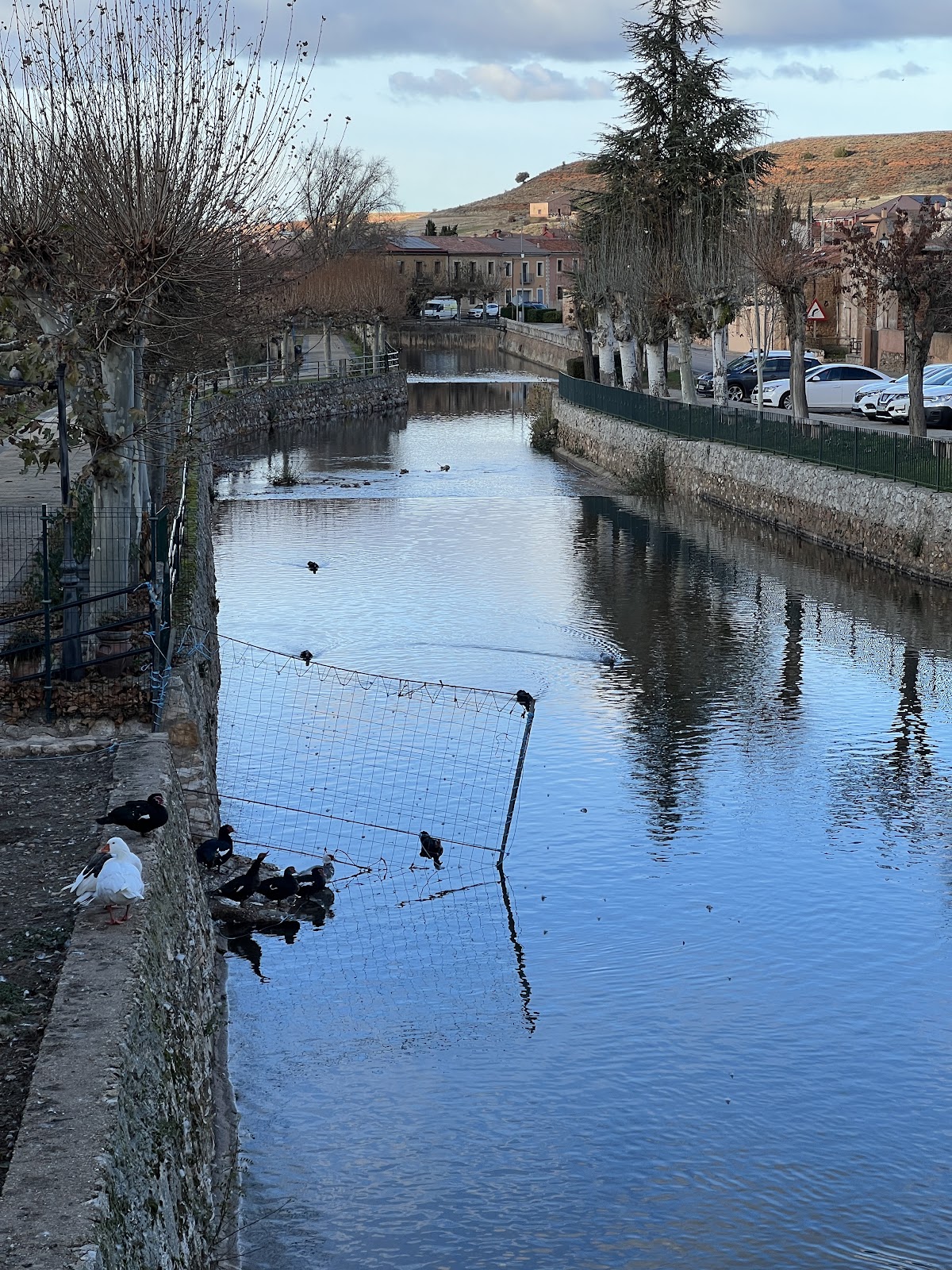 Rio Aguisejo