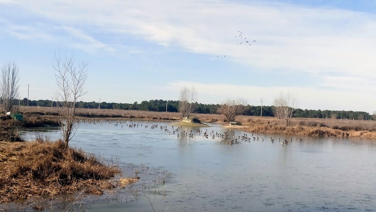 Lagunas Arroyo de Cuéllar