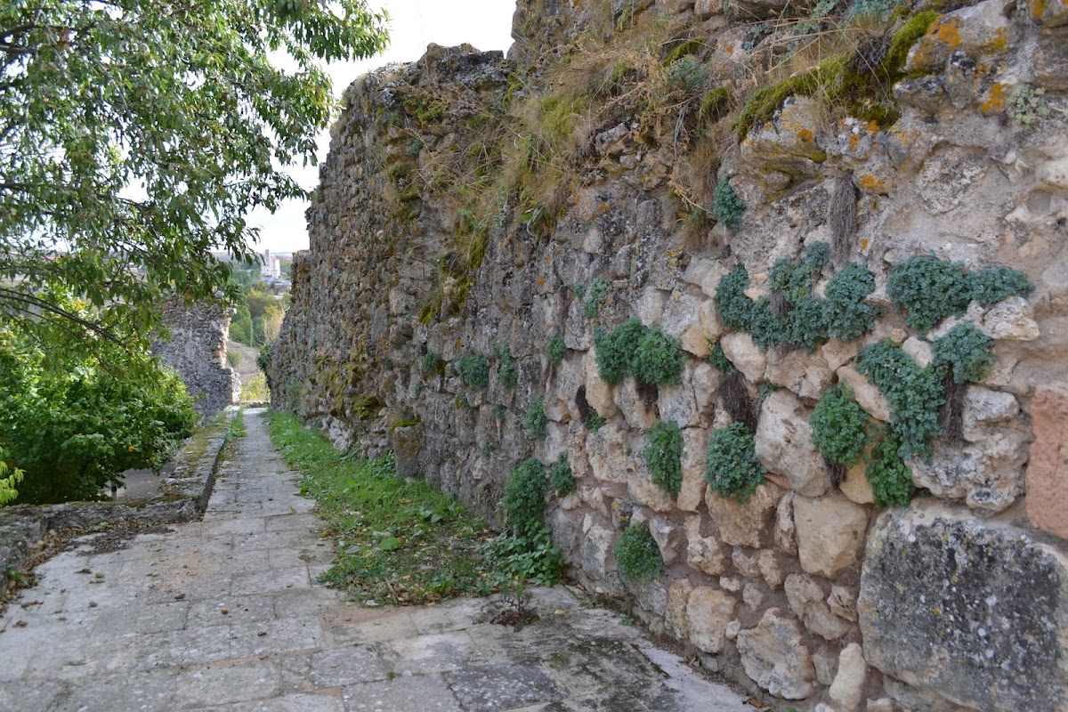 Puerta Postiguillo