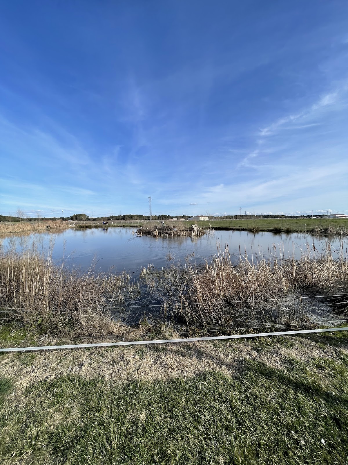 Laguna de Sanchonuño