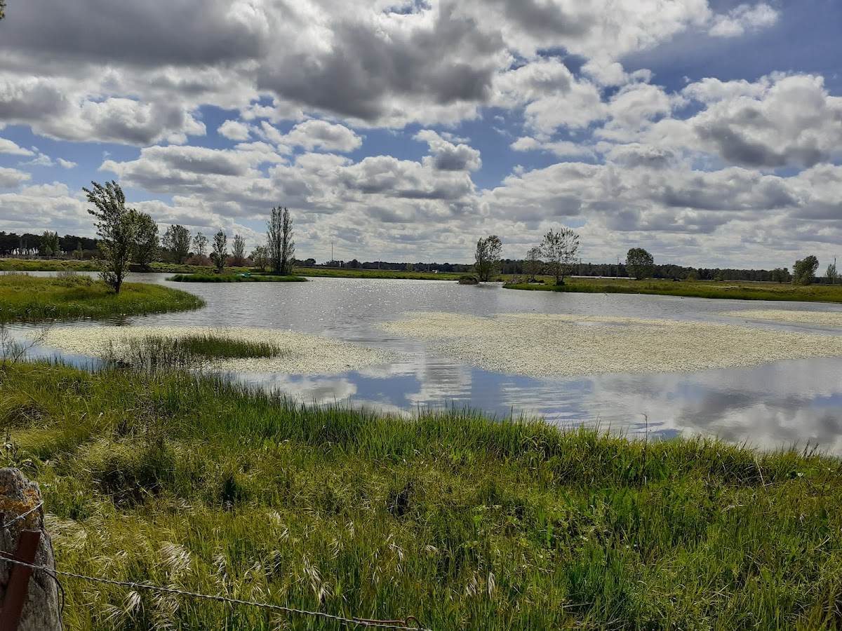 Lagunas Arroyo de Cuéllar