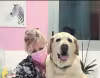 Centro Clínico Veterinario UNO + de la familia
