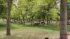Pradera del Hospital
