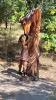 Arboreto
